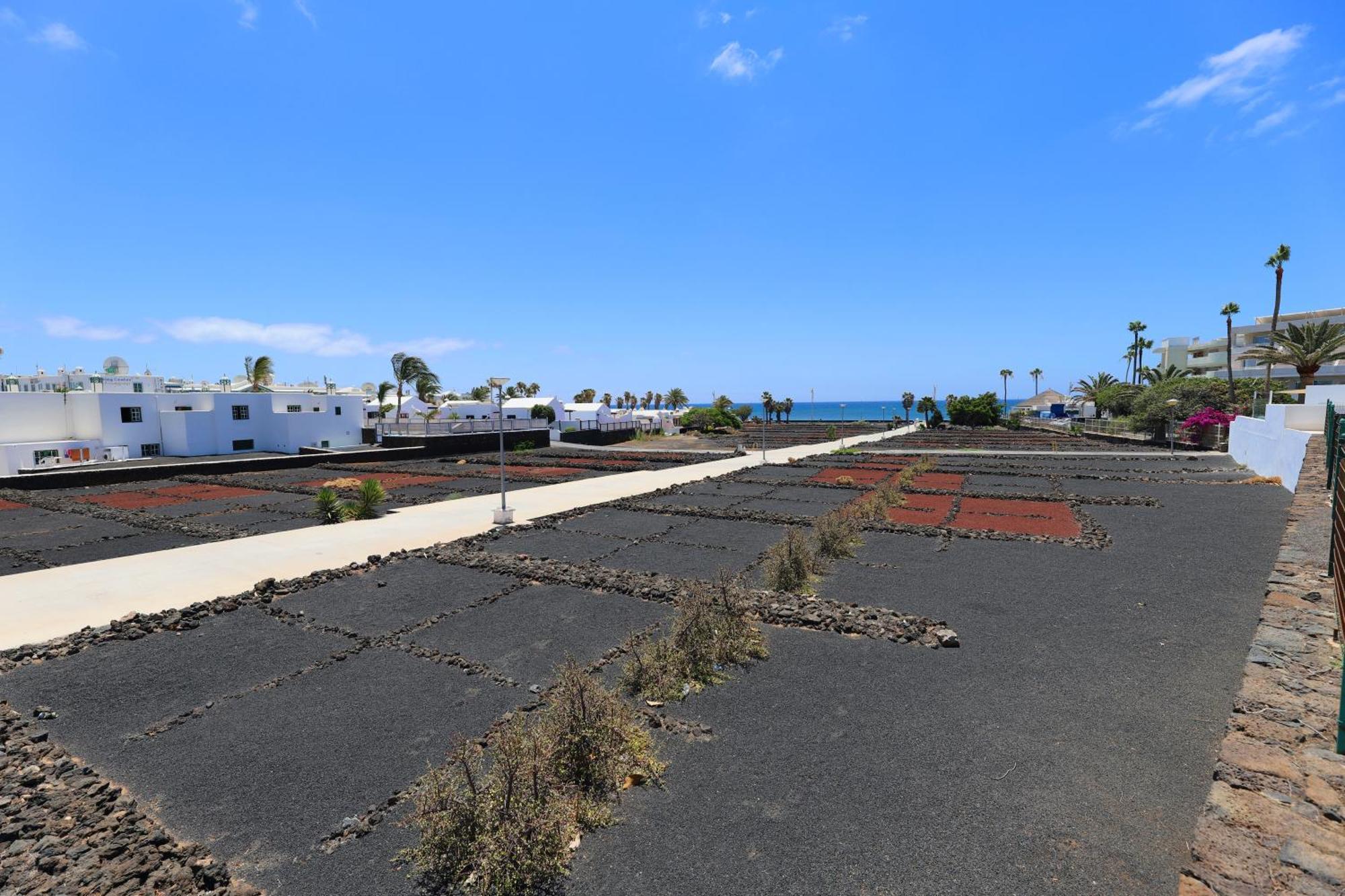 Salmarina Bungalows Puerto del Carmen  Exterior photo